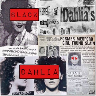 Black Dahlia Posters and Art